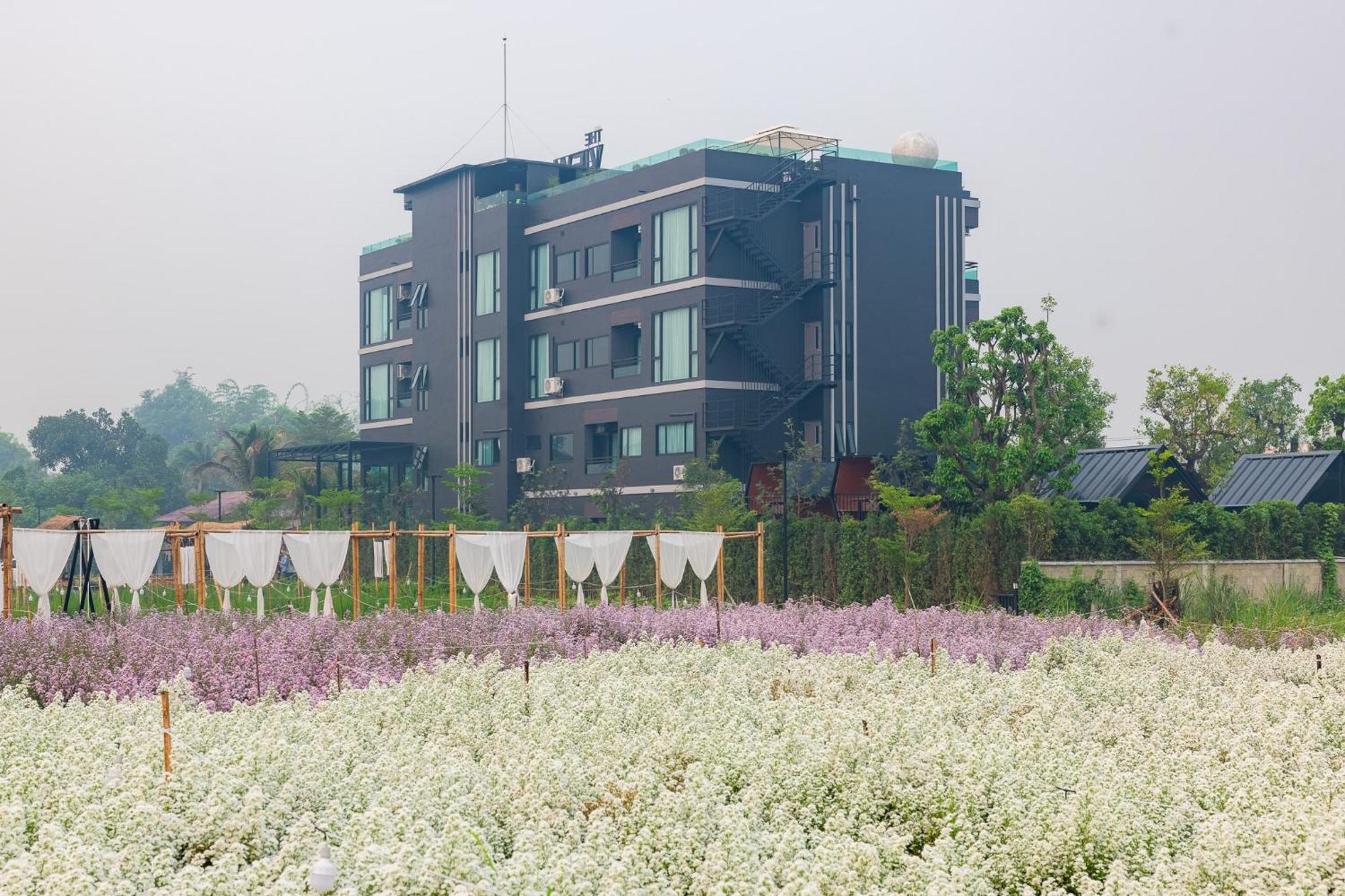 The View Chiang Dao Hotell Exteriör bild